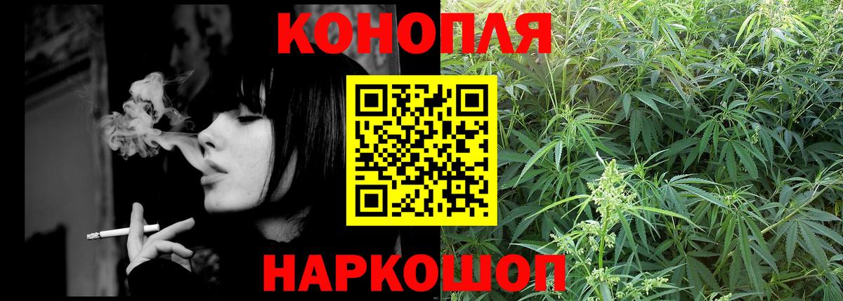 Канабис сатива  Марихуана ГИДРОПОН  Курчатов  Вход с VPN 
